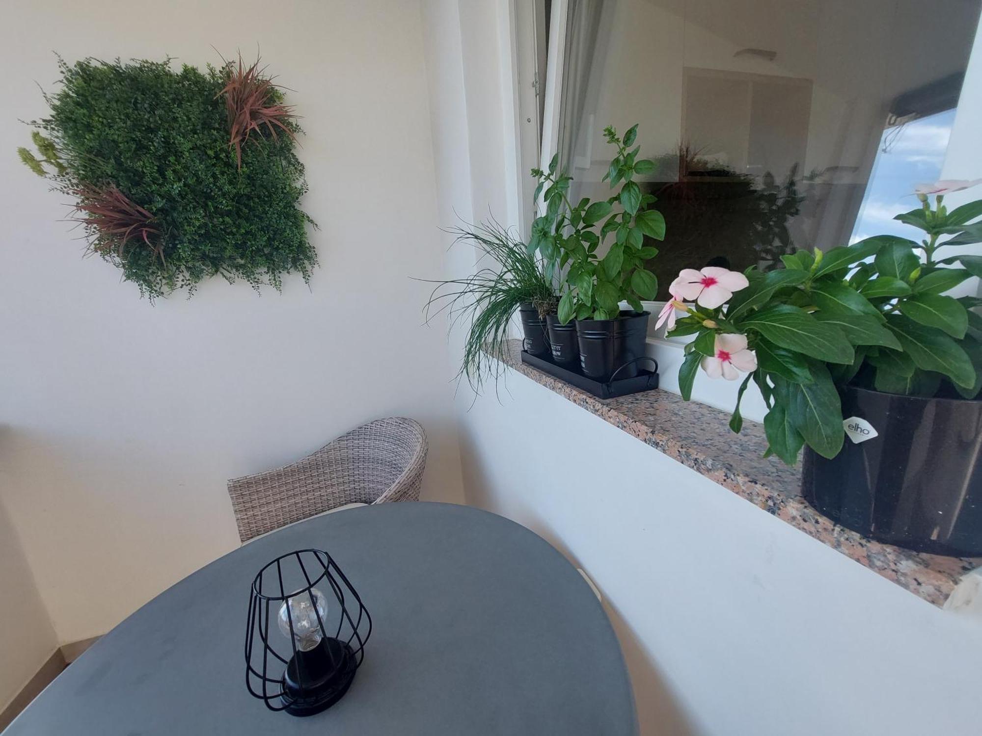 Petra Rooms And Apartments Palit Zimmer foto
